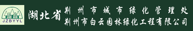 山東馳勝智能科技集團(tuán)有限公司